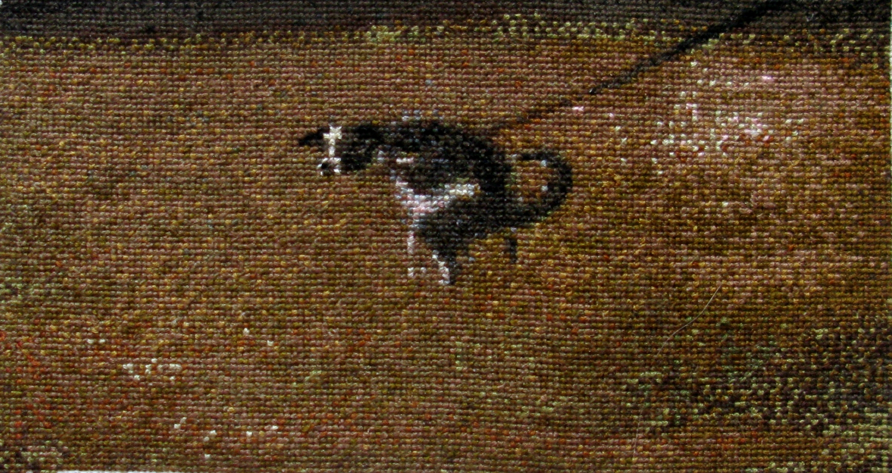 Why are you DOGging me about this?, 11x21 cm
